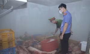 Hưng Yên: Phát hiện gần 1 tấn thịt lợn nhiễm dịch tả lợn châu Phi tại cơ sở sơ chế