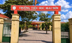 Nữ hiệu trưởng đập bàn, ném cốc khi về thăm trường cũ: Chính quyền nói gì?