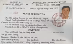 Bộ Công an kết thúc điều tra bổ sung 'đại án' cây xanh Công Minh 