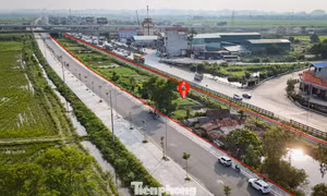 Ninh Bình: Người dân bị bít lối vào đất canh tác bởi đường 360 tỷ đồng