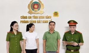 Nữ giám đốc công ty cây cảnh bị khởi tố vì trốn thuế hơn 3 tỷ đồng