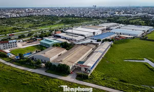 Rốt ráo 'thúc' phá sản Dự án Khu công nghiệp Mỹ Trung 