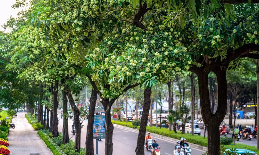 Chuyện không có gì phải ầm ĩ
