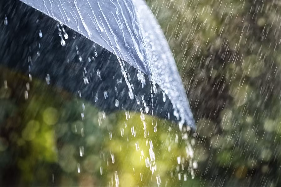 rainy.jpg
