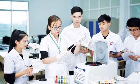 Công nghệ thông tin, AI và sử dụng ngoại ngữ trở thành tiêu chuẩn năng lực. Ảnh minh họa