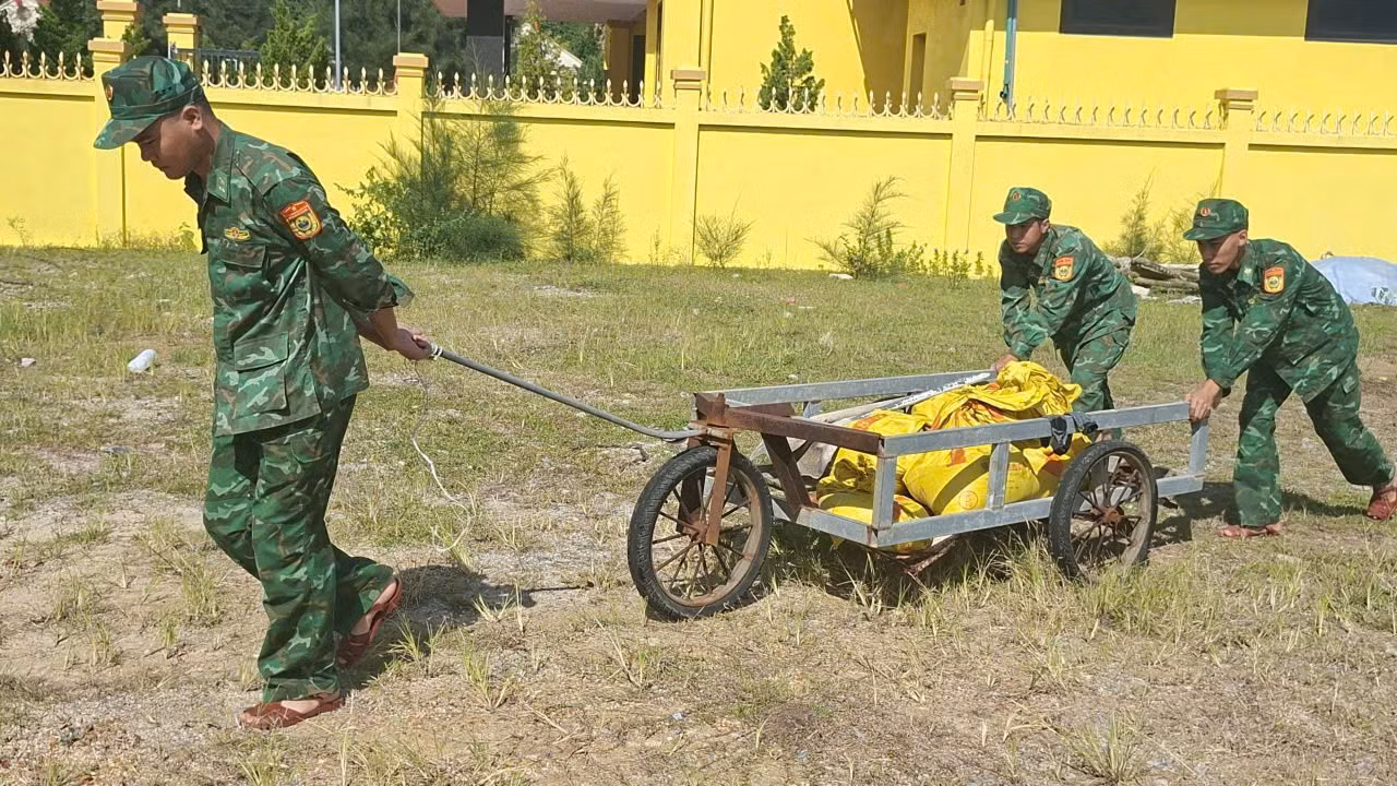 204a.jpg