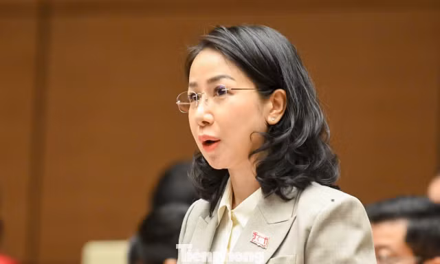 Trải thảm đỏ đón 'đại bàng', tạo điều kiện để hàng triệu 'chim sẻ' lớn mạnh