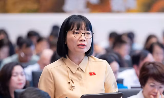Không để mọi rủi ro, chi phí đầu tư điện chuyển sang người dân