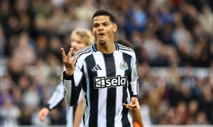 Nhận định Newcastle vs Tottenham, 03h00 ngày 30/10: Nỗi sợ Chích chòe