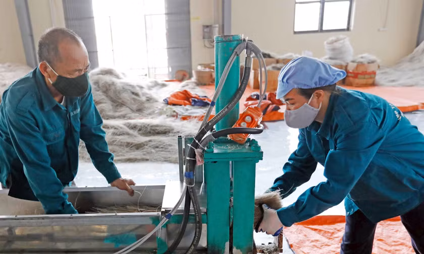 Đảng viên làm kinh tế: Khơi thông nguồn lực, phát huy vai trò tiên phong