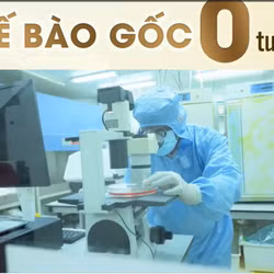 Rầm rộ quảng bá đưa người Việt ra nước ngoài tiêm tế bào gốc