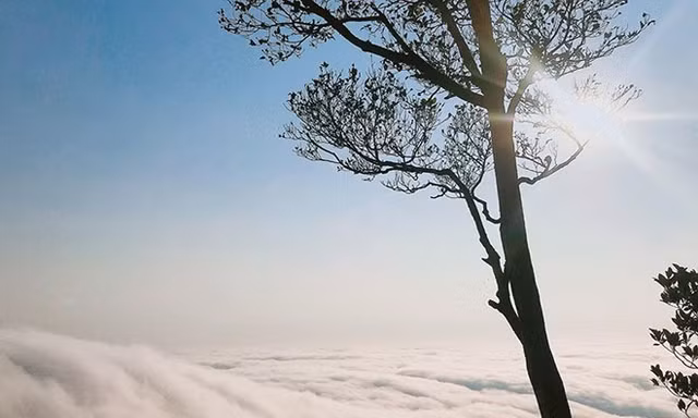 Hàng nghìn du khách vượt đêm lên núi, chờ săn biển mây ở Ba Vì