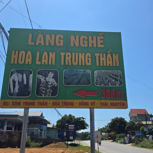 Thái Nguyên: Lan đột biến từng giao dịch 1 tỷ đồng/cm nay chỉ mang treo bờ rào
