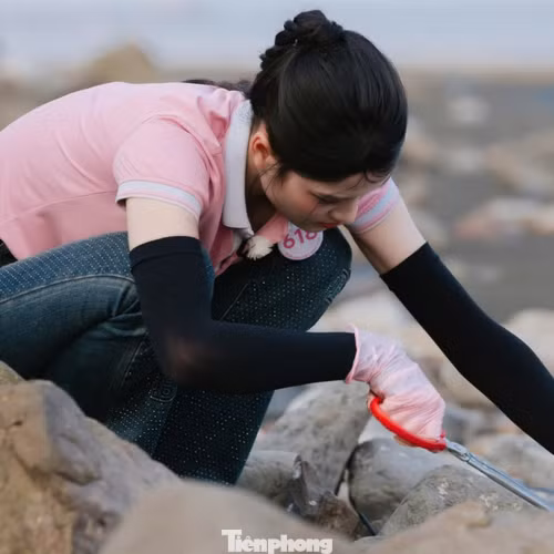 Đào từng mảnh rác mắc kẹt trên bãi biển Đồ Sơn 