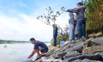 Rằm tháng Bảy, người dân Đà Nẵng đổ ra bờ sông thả hàng trăm kg cá phóng sinh