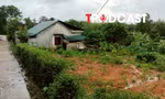 Các đối tượng được đề xuất miễn thuế sử dụng đất nông nghiệp