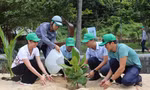 Khởi động chương trình trồng 1 tỷ cây xanh tại đảo Cù Lao Chàm