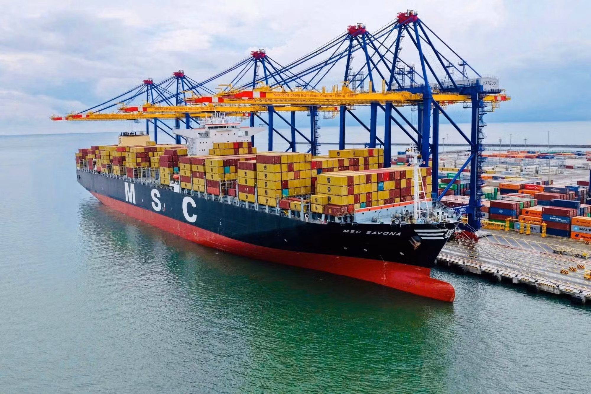cang1.jpg