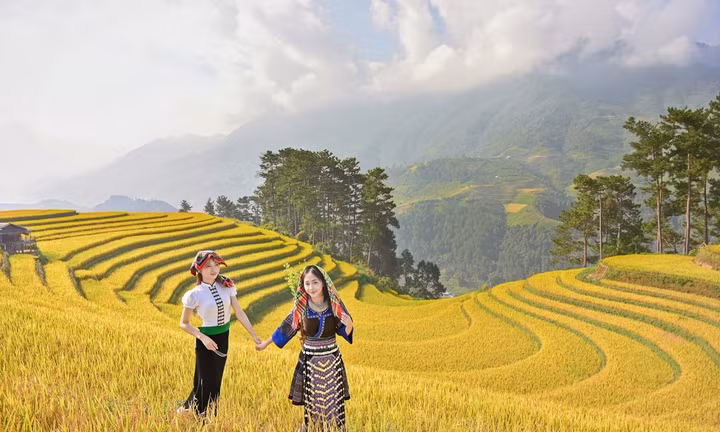 Mù Cang Chải mùa lúa chín đẹp như tranh