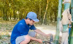 Trồng rừng tre đẹp như phim, nông dân nơi này bán măng thôi đã giàu hẳn lên