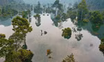 Phong Nha-Kẻ Bàng là ứng viên sáng giá của Danh lục Xanh IUCN 