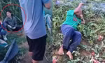 Hai vụ phá ruộng tại Nghệ An: Người nông dân bật khóc vì tiếc công chăm sóc
