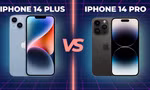 So sánh iPhone 14 Plus và iPhone 14 Pro: Chọn màn hình to hay "viên thuốc ảo diệu"?