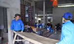 Tuổi trẻ Nghệ An, Quảng Bình hỗ trợ giải phòng mặt bằng dự án đường dây 500kV mạch 3