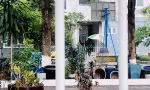 Một học sinh lớp 5 ở Bình Dương tử vong ở trường, nữ sinh Bắc Giang tự sinh con trong nhà tắm
