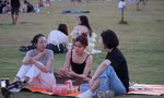 Hàng nghìn người đổ về cánh đồng diều 'xin một vé về tuổi thơ' dịp nghỉ lễ