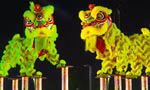 Đề xuất công nhận nghệ thuật múa Lân-Sư-Rồng là di sản văn hóa phi vật thể