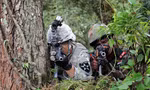 Binh lính Mỹ và Ấn Độ trong cuộc tập trận chung năm 2016. (Ảnh: Reuters)
