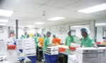 Cty XKLĐ Việt Nam không có đại diện tại Ảrập Xê-út nên khi xảy ra sự cố, người lao động không biết kêu ai. (Trong ảnh: Lao động Việt Nam làm việc tại một nhà máy ở Ảrập Xê-út). Ảnh: Đức An