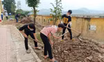 Chào mừng Tháng Thanh niên, Gen Z rủ nhau trồng cây xanh, làm sạch khuôn viên trường học