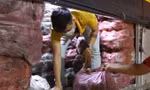 Giúp nông dân Vĩnh Long tiêu thụ khoai lang tím ùn ứ vì dịch COVID