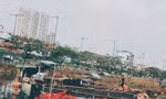 Chợ hoa Xuân ‘Trên bến dưới thuyền’ TP. HCM bắt đầu hoạt động từ ngày 25/1