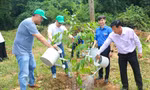Chương trình ‘Triệu cây xanh - Vì một Việt Nam xanh’ khởi động tại tỉnh Bình Thuận