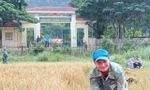 Long luôn đi đầu trong các mô hình làm ăn