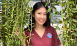 Hành trình làm bảo mẫu của 'đóa Tường Vi' 9x