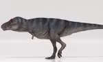 Khủng long bạo chúa T-Rex được cho là đi chậm hơn con người
