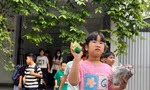 ‘Bật khóc’ khi không còn được thi lớp 6
