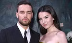 Nghi vấn Liam Payne (One Direction) phản bội vị hôn thê: Mặc netizen chỉ trích, fan vẫn quyết bảo vệ