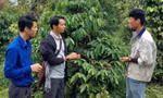 Anh Dũng (thứ 2 phải qua) chia sẻ về mô hình cà phê vườn rừng