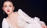 Nữ diễn viên bị tố lập công ty ma, trốn thuế