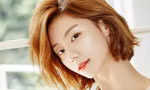 Vợ kém 13 tuổi của Bae Yong Joon giải nghệ