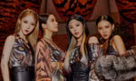 RBW Entertainment đã phủ nhận tin đồn MAMAMOO tan rã, nhưng netizens lại phản ứng tiêu cực