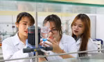 Một trường đại học được yêu cầu có ít nhất 1.000 bài báo quốc tế mỗi năm