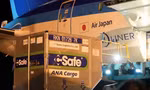 Một lô vắc-xin được Nhật Bản chuyển đến sân bay Nội Bài ngày 16/6. (Ảnh: NLĐ)