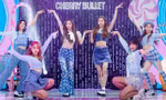Rộ tin đồn về danh tính các thực tập sinh đầu tiên tham gia show sống còn mới của Mnet