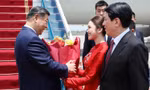Nữ sinh Học viện Ngoại giao chia sẻ khoảnh khắc tặng hoa Tổng Bí thư, Chủ tịch nước Trung Quốc Tập Cận Bình